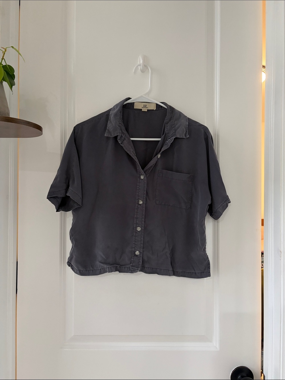 Thread & Supply Short-Sleeve Button-Down Shirt - Charcoal Gray